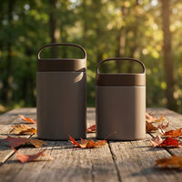 Thermos isotherme à double paroi en acier inoxydable pour aliments chauds avec couvercle facile à ouvrir et poignée