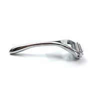 Vente en gros de rouleaux de massage Microneedle Derma Roller Rouleau de beauté faciale domestique en métal Silver Ridoki Masseur portatif