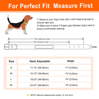 Ensemble de harnais pour chien en sangle PVC enduite personnalisée OEM, imperméable, collier réglable, laisse, porte-sac à excréments, kit de promenade