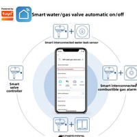 Contrôleur intelligent Zigbee pour conduite de gaz domestique, application Tuya, télécommande programmable, vanne d'eau 12V1A
