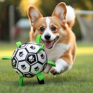 [Toprate] Ballon de jeu classique pour animaux de compagnie en PU écologique, sangle en nylon, clochette, 32 panneaux cousus, non toxique, résistant aux morsures, facile à nettoyer - Product Image 6