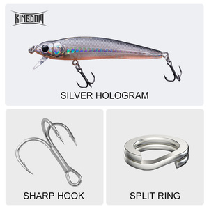 Leurre de pêche Minnow le plus vendu du Royaume, 90 mm, 9 g, flottant, en plastique, nouveau leurre de pêche <span class=keywords><strong>Jerkbait</strong></span> OEM pour la pêche au bar - Product Image 4