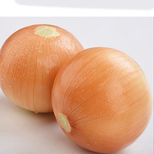 Organic Nutritional And Natural Yellow Onion From India Alibaba Com