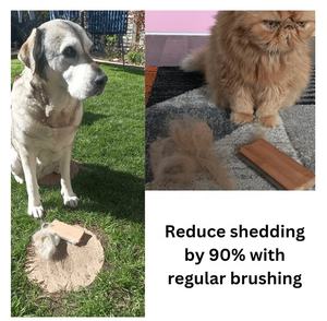 Brosse de toilettage professionnelle pour animaux de compagnie brosse de toilettage en bois pour chat chien et cheval - Product Image 3