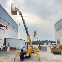 Mini-grue araignée certifiée CE, grue de toit portable, déplacement sur chenilles, télécommande sans fil