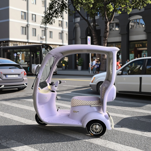Tricycle électrique tout-terrain violet clair |   Conception semi-fermée |   Livraisons locales et services de <span class=keywords><strong>livraison</strong></span> par les commerçants - Product Image 1