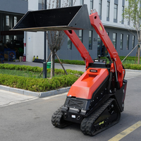 Chargeuse compacte sur chenilles tout-terrain pour vergers, homologuée CE EPA, de fabrication chinoise, avec système hydraulique domestique