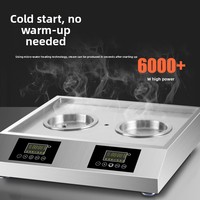 Horno Vaporizador Eléctrico Comercial Zankang con Cajón, Multifunción, con Pantalla, Aislamiento Térmico, Automático, 3000W, para Restaurantes y Buffets