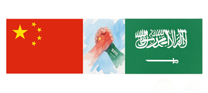 Envío Económico DDP Aéreo + Express, China, Arabia Saudita, EE. UU., Reino Unido, Canadá, <span class=keywords><strong>España</strong></span>, Singapur, UPS, DHL, 7-12 Días de Tránsito, <span class=keywords><strong>Seguro</strong></span> de Envío Puerta a Puerta - Product Image 2