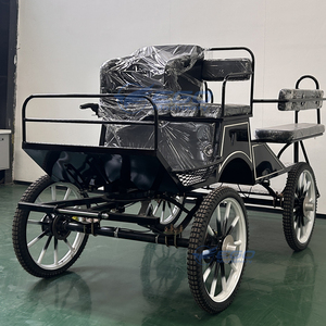 Calèche à 4 roues pour loisirs et événements |   Élégante calèche à chevaux pour mariages, défilés et utilisation à la ferme - Product Image 3