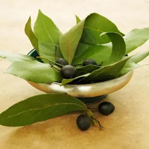 HAIRUI поставка чистого натурального эфирного масла для массажа в форме листьев Лавра по лучшей цене