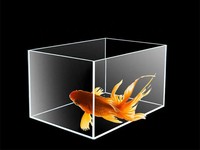 Décoration d'intérieur Aquarium Betta Taille personnalisée 1.5 2 10 15 30 gallons Aquarium en acrylique transparent