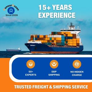 海运货运代理中国货运代理航空货运门到门快递到加纳喀麦隆南非乌干达 - Product Image 2