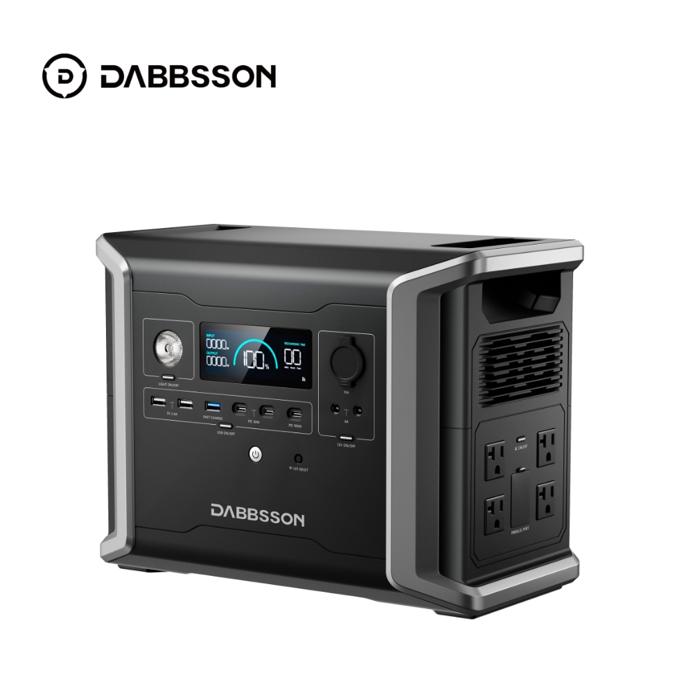 DBS1300