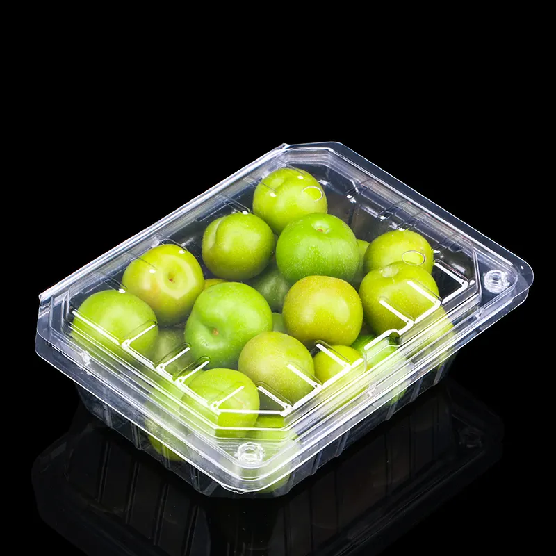 Disposable clear plastic blister clamshell fruit vegetable container packaging box