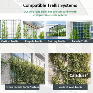 Ensemble de câbles de tension en acier inoxydable 316 pour treillis mural vert et systèmes de plantes grimpantes - Product Image 6