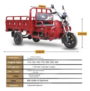 Véhicule domestique à trois roues à assistance électrique sous licence Moteur de déchargement de carburant à essence refroidi à l'eau Tricycles motorisés plats - Product Image 6