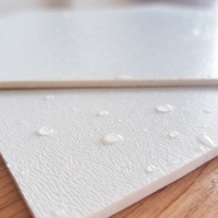 Feuilles en plastique antibactériennes de PVC de panneau de mur d'anticorrosion pour la salle d'opération d'hôpital