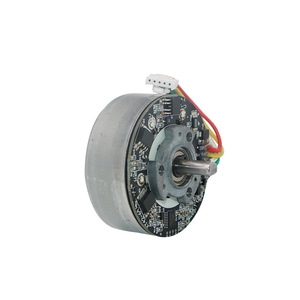 Motor CC sin escobillas 5520 de 6000 RPM, 56 mm, montaje de brida, imán permanente, totalmente cerrado, para pistola de masaje - Product Image 4