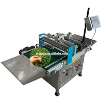 Machine de remplissage et de semis de plateaux de semis entièrement automatique et de haute précision avec une précision de 98 % pour les semis de pépinière