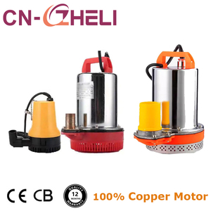 <span class=keywords><strong>Pompe</strong></span> submersible ZHELI DC 12V/24V en acier inoxydable pour l'industrie automobile OEM, haute pression, <span class=keywords><strong>arrosage</strong></span> de légumes, petite capacité 2LPM - Product Image 2