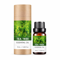 Huile Essentielle d'Arbre à Thé pour Aromathérapie, Diffuseur, Massage Facial, Soin de la Peau, 10ml Chacune, OEM ODM, Marque Privée, Logo Personnalisé, Vente en Gros, Carton