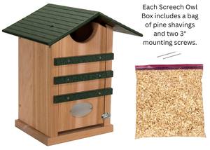 Moderne Grote Zuignappen Hangende Lanyard Touw Spionage Raam Vogel Nestkast Buiten Nestkasten Hout Vogel Kooien Vogelhuisje - Product Image 2