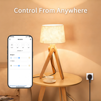 Bilihondim EU Mini Zigbee Plug Dimmer 200W Compatible Google Assistant 1 Canal Portée 30m Contrôle Sans Fil Installation Facile