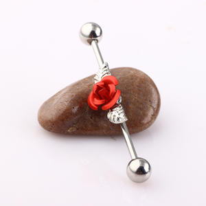 Bon marché Prix 5mm Boules Extrémités Rouge Rose <span class=keywords><strong>Sur</strong></span> Acier Chirurgical 316L Industrial Barbells Boucles D'oreilles 2023 - Product Image 3