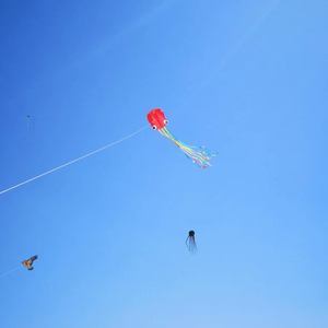 Le cerf-volant pieuvre est facile à piloter pour les enfants et les adultes. Cet ensemble de cerfs-volants de plage 3D souples à une seule ligne est parfait pour les garçons et les filles. - Product Image 5
