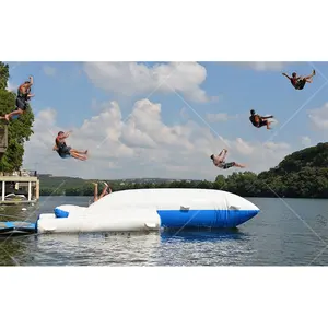Funworldsport 호수 스포츠 게임 Pvc 플로팅 점프 베개 풍선 물 투석기 풍선 물방울