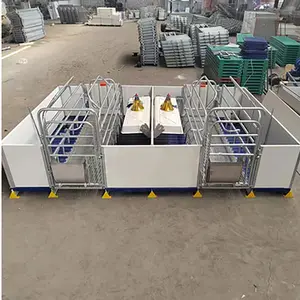 Pig breeding equipment of sow farm in delivery shed