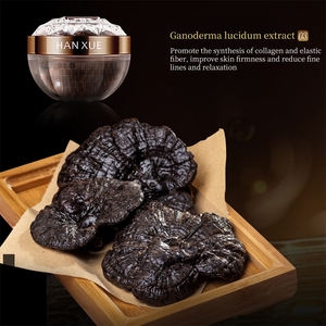 HANXUE Marque privée Crème de luxe pour le visage éclaircissante et nourrissante pour la peau Maquillage naturel Extrait de <span class=keywords><strong>ginseng</strong></span> Crème <span class=keywords><strong>BB</strong></span> blanchissante - Product Image 3