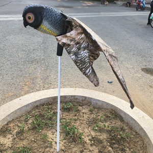 Meilleure Vente : Effaroucheur d'Oiseaux en Plastique 3D, Fausse Guêpe de <span class=keywords><strong>Chouette</strong></span> pour Jardin, Cour et Décoration de Maison - Product Image 2