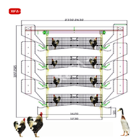 Système d'élevage avicole automatique, cage en métal pour poulets, canards, oies, usage commercial en ferme