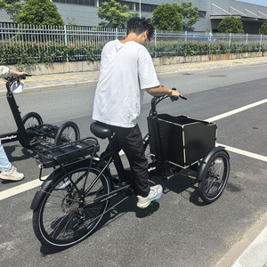 Triciclo <span class=keywords><strong>El</strong></span>éctrico de Última Generación con Marco de Aleación y Carrocería Abierta, Batería de 48V, Frenos Hidráulicos, Motor de 250W, Autonomía de 55-60KM, 1 <span class=keywords><strong>Pasajero</strong></span> - Product Image 1