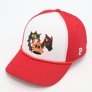 Casquette de baseball bicolore à visière plate avec logo personnalisé brodé, doublure 100 % coton, faible MOQ, pour femmes et enfants, protection solaire, chapeaux en maille - Product Image 3