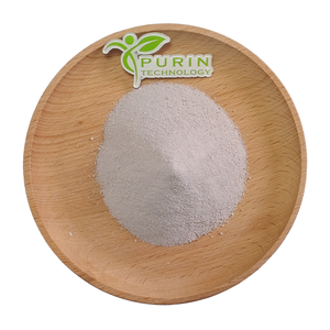 Purpureocillium Lilacinum Paecilomyces Lilacinus Samson, Agente Microbiano Agrícola para el Control de Nematodos de Nódulos Radiculares - Product Image 1