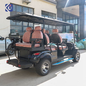 नई डिजाइन की गई गैसोलीन गोल्फ कार्ट गैस से चलने वाली बग्गी स्ट्रीट कानूनी रूप से लक्जरी गोल्फ कार - Product Image 6