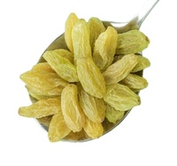 Raisins secs entiers comestibles de Chine, doux, pour la consommation libre et occasionnelle