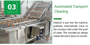 Mù tạt măng tây dưa hấu rửa đường củ cải máy giặt gừng tỏi Máy làm sạch - Product Image 4