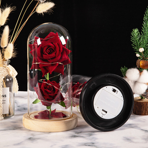 <span class=keywords><strong>Rose</strong></span> artificielle <span class=keywords><strong>de</strong></span> luxe sous cloche en verre, <span class=keywords><strong>rose</strong></span> éternelle, fleur séchée sous cloche en verre, cadeaux pour la fête des mères et la Saint-Valentin 2026 - Product Image 5