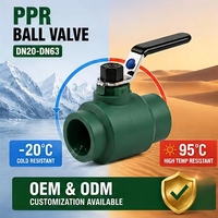 Système d'alimentation en eau chaude et froide, usine OEM ODM, robinet à bille en laiton chromé, raccord de tuyau PPR DN20-63, vanne à bille PPR