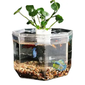 Mini Betta Fish Tank Desktop Marine Aquaponic Aquarium Fishes Bowl Decorations