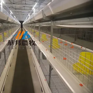 Zhuangang — cage de broyeur de poulet, panier à viande en vente pour élevage de volaille