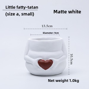 Pots à fleurs succulentes miniatures modernes et simples P281, pots à fleurs givrés, bureaux, jardins domestiques - Product Image 6