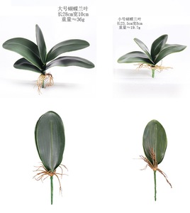 All'ingrosso vero tocco grande e piccola dimensione orchidea foglie artificiali tocco reale foglia di orchidea per il matrimonio e la decorazione della casa - Product Image 6