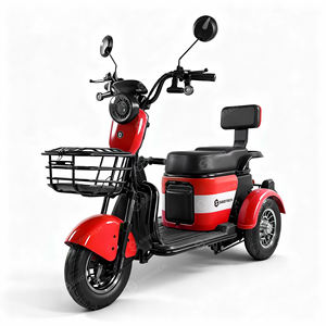 Tricycle électrique intelligent SIGOTECH OEM, longue portée, batterie 60V, trois roues, scooter électrique étanche pour personnes âgées - Product Image 4