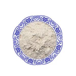 Natürliches gefrier getrocknetes Kürbis protein pulver/Kürbis kernex trakt Kürbis pulver