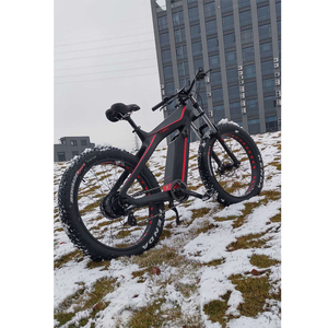 Venta caliente ES750 Fibra de carbono 1000W Bicicleta de montaña <span class=keywords><strong>eléctrica</strong></span> Velocidad rápida Neumático gordo Bicicleta de montaña <span class=keywords><strong>eléctrica</strong></span> Bicicleta <span class=keywords><strong>eléctrica</strong></span> de alta <span class=keywords><strong>calidad</strong></span> - Product Image 6